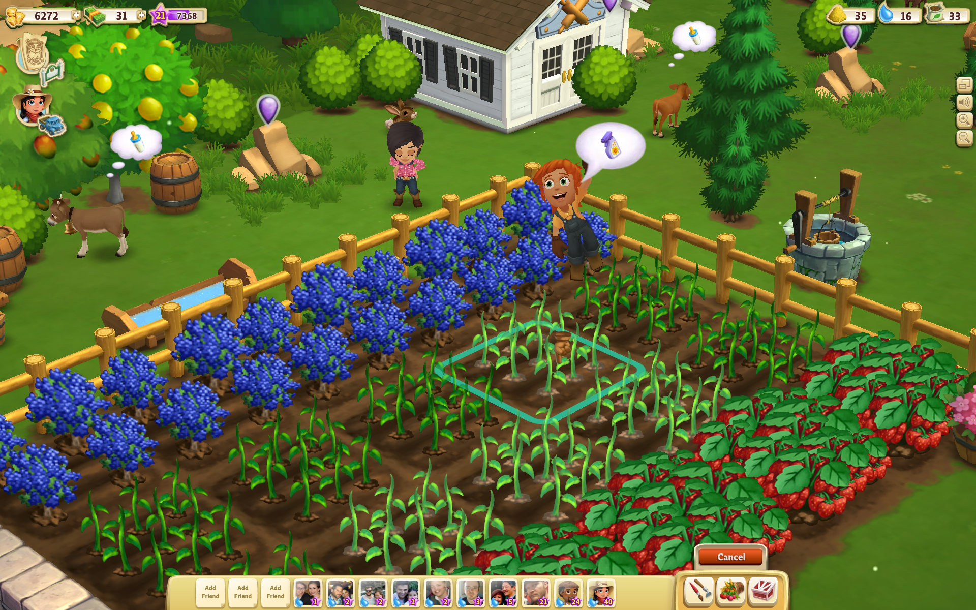 Farm Ville 2